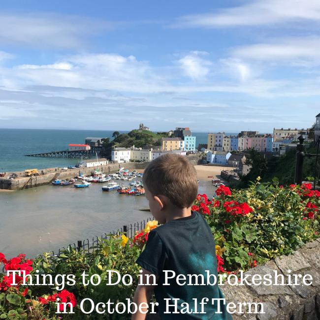 What's on in Pembrokeshire for October Half Term